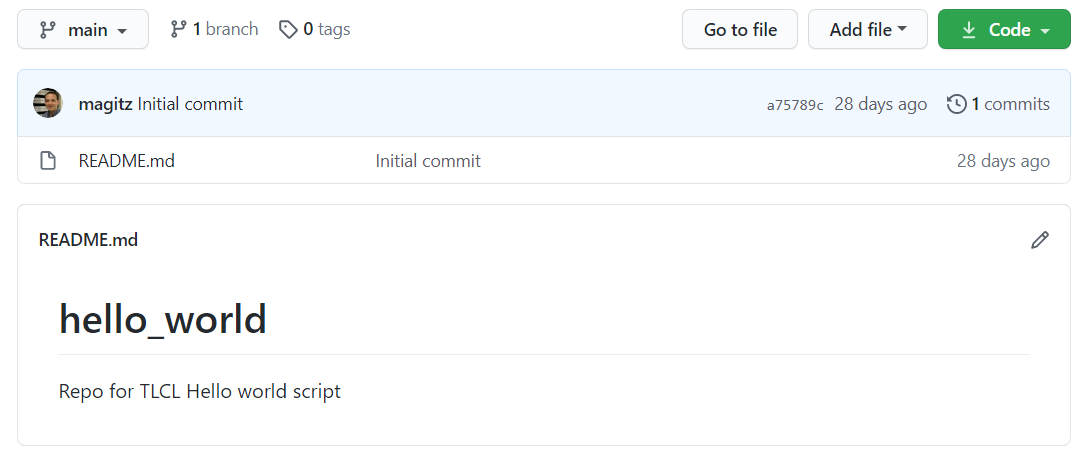 Screenshot of a newly created repository in github.com