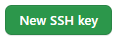 Screenshot of the New SSH Key button